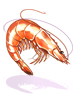 King Shrimp.png