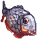 Atltigerfish.png