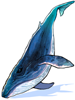 Blue Whale.png