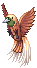 Cendrawasih.png