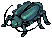 Male Thief Bug.png