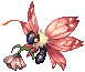 Pink Papilla.png