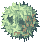 Rafflesia.png