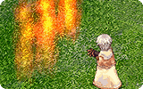 Fire Wall