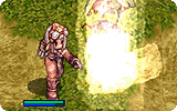 Stone Curse