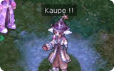 Kaupe