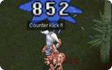 Counter Kick