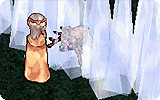 Ice Wall