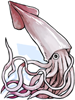 Giant Squid.png